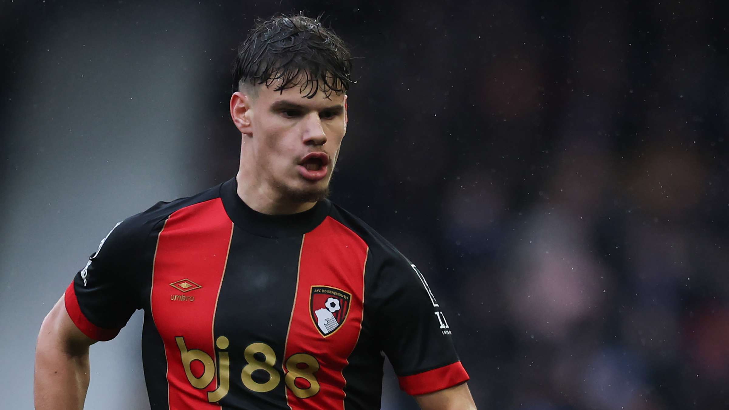 牌球星的平 牌球星的平